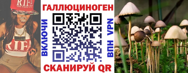 Псилоцибиновые грибы мицелий Домодедово